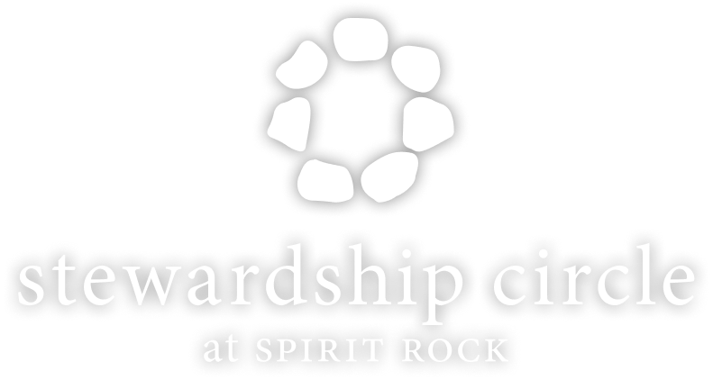 Stewardship circle logo